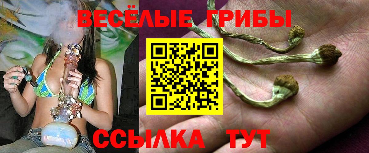 цены наркотик  Вход с VPN  Урюпинск  Псилоцибиновые грибы Psilocybine cubensis 